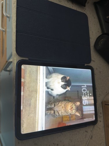 Apple ipad 10a gen - ipad,